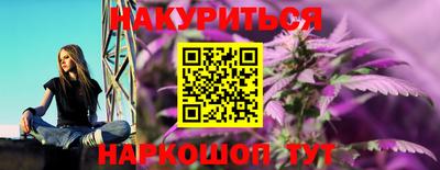 гидра Бийск