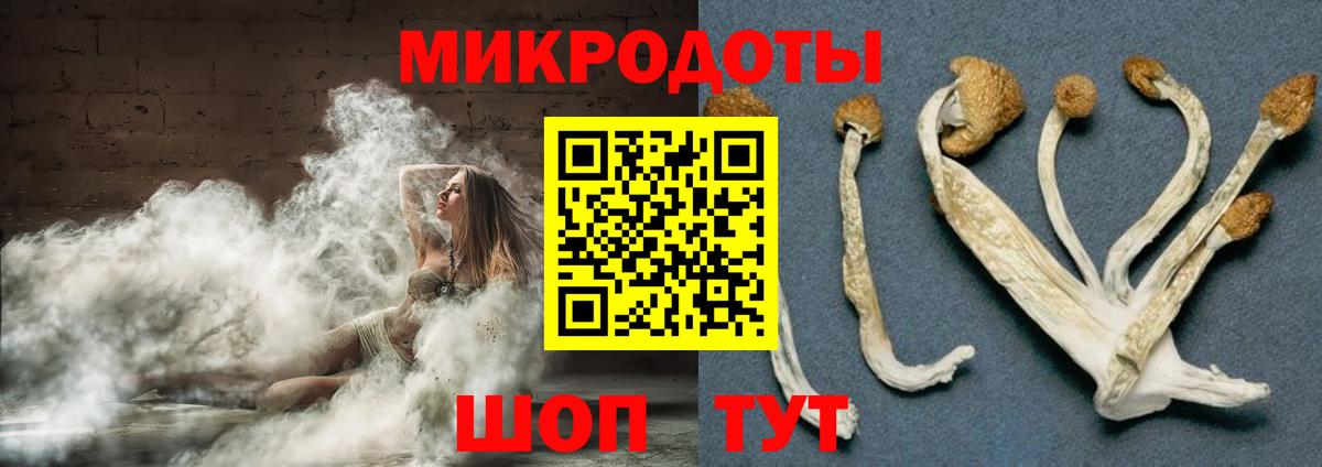 Галлюциногенные грибы ЛСД  Галлюциногенные грибы мицелий  Вышний Волочёк  Вход с VPN 