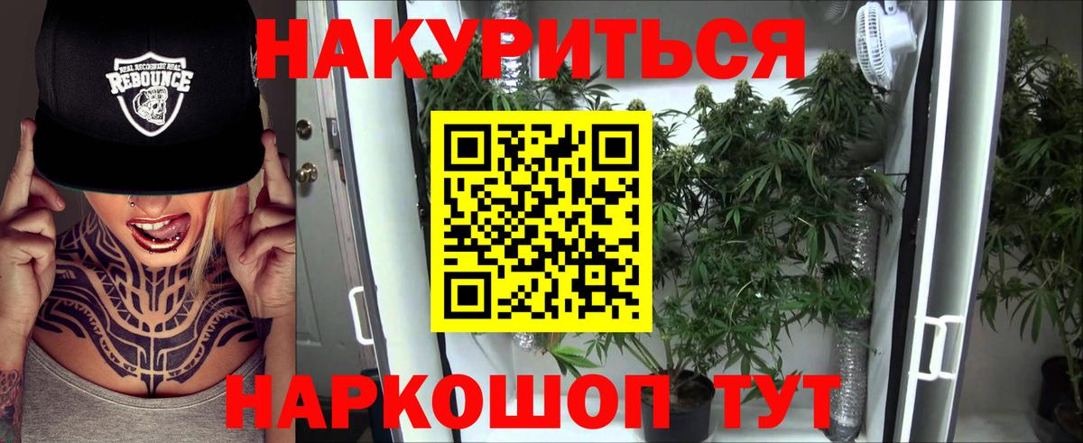 Каннабис план Вышний Волочёк
